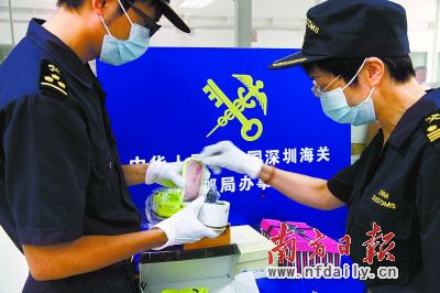 走私毒品手段不断创新，图为海关人员在一批超重“松糕鞋”邮包中发现毒品。