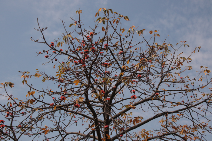 〖今天我当班〗高墙内戒毒民警的一天
