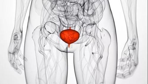 女生发掀裙自拍照震惊网络：仅19岁却离不开尿布